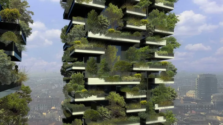 Toți oamenii se opresc și se minunează când văd asta! Imagini incredibile cu ”Pădurea Verticală”