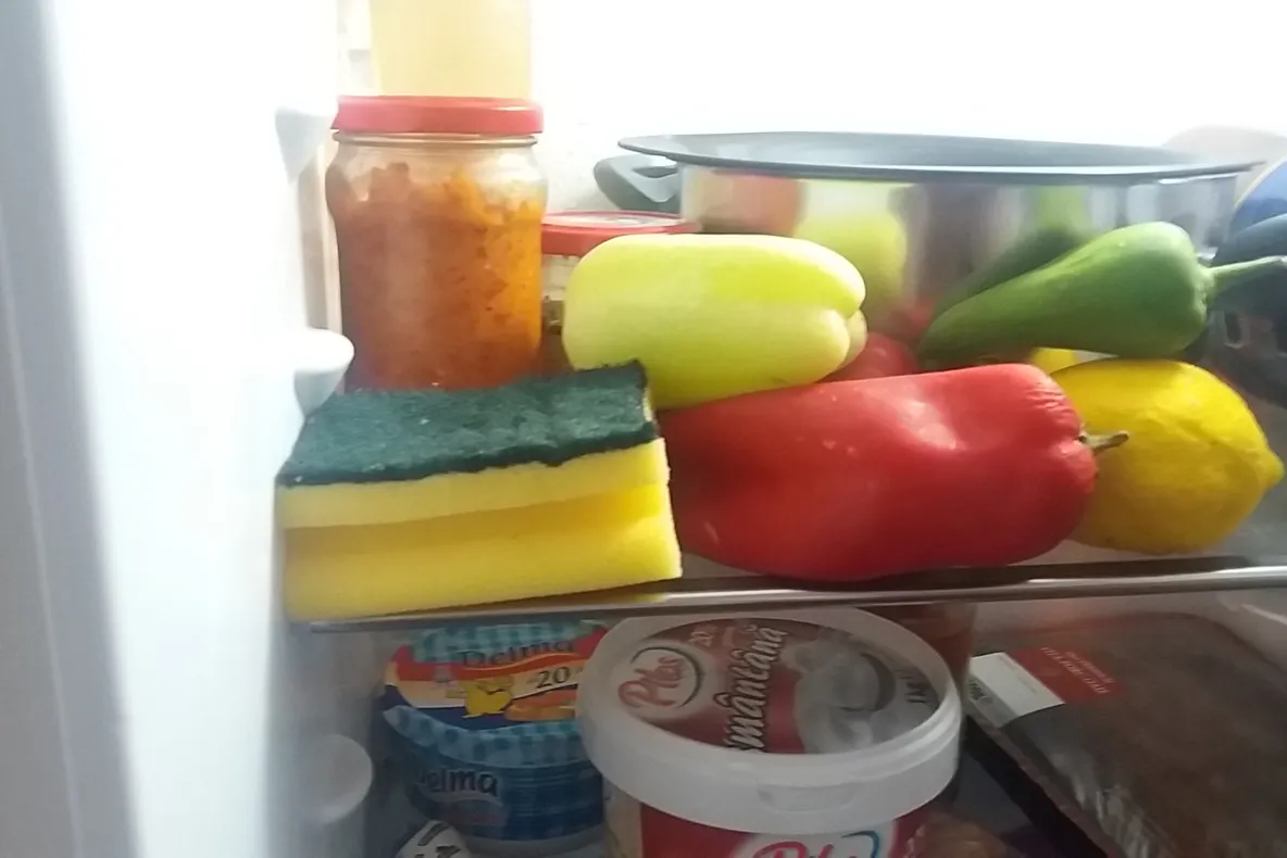 A băgat un burete în frigider și a așteptat! În scurt timp a observat diferenţa