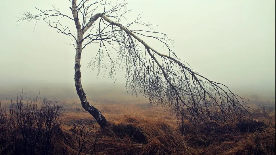 Temperaturile, tot mai scăzute. Când scăpăm de ploi
