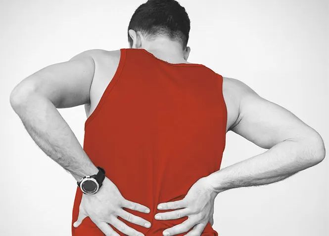 Un remediu din plante naturale pentru durerile musculare lombare (P)