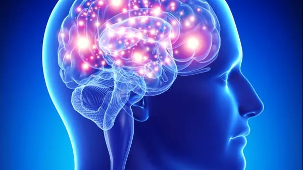 Ține departe maladia Alzheimer! 5 factori care îți influențează creierul