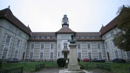 Mai mulți pacienți ai Spitalului Obregia din Capitală, mutați după ce un copac a căzut pe clădire