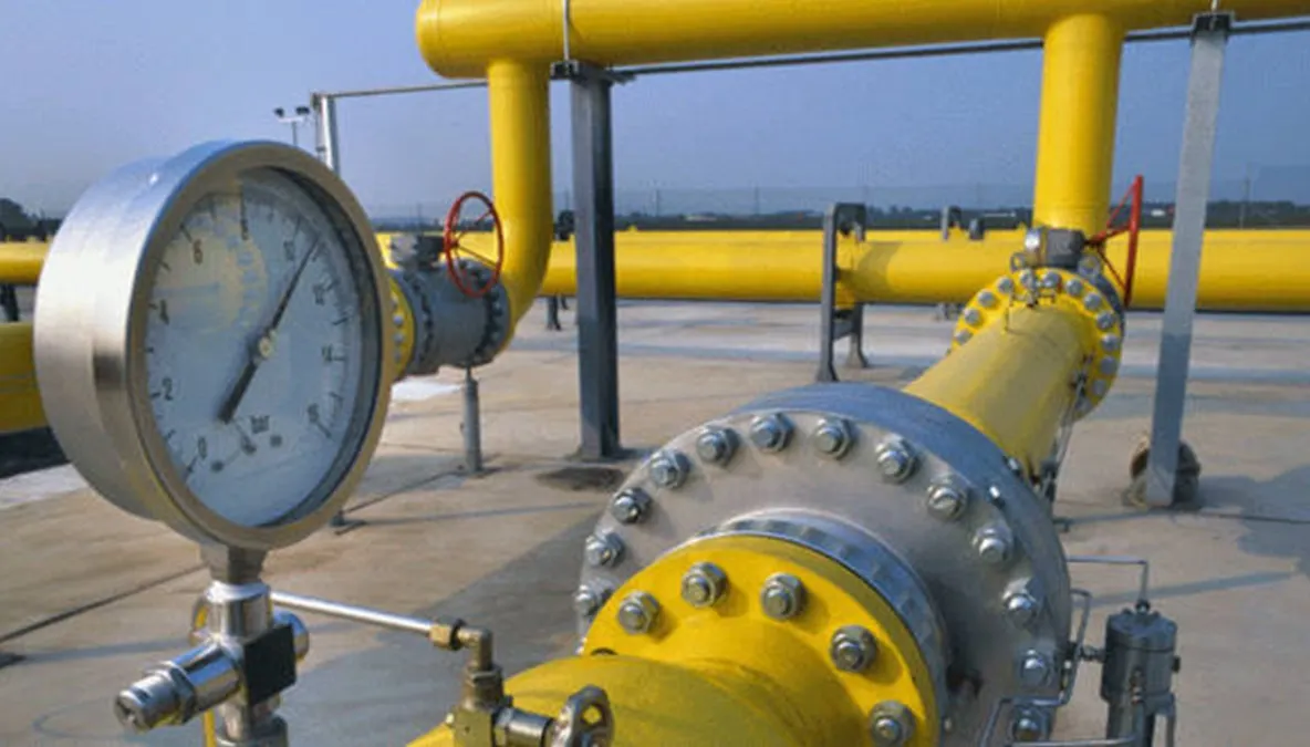 Fost ministru al Energiei: Comisia pentru industrii, instrument de abuzuri