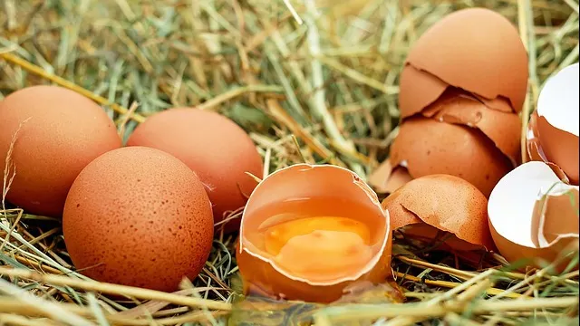 Cele trei tipuri de ouă pe care ar trebui să le consumi mai des