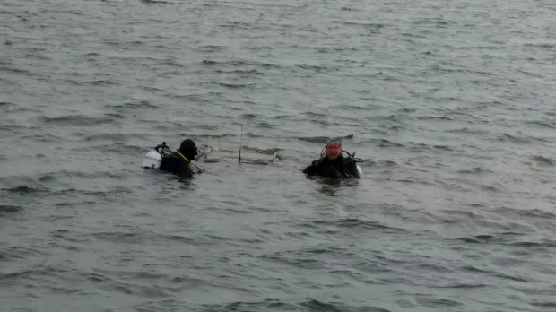 FOTO&VIDEO. Descoperire misterioasă în Lacul Morii. Nimeni nu are nicio explicaţie 