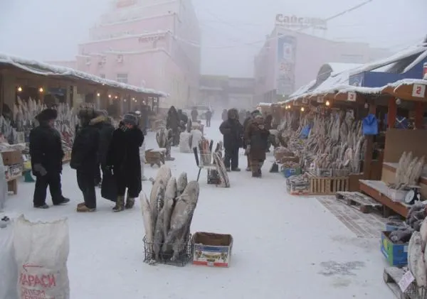 Orașul în care temperatura s-a prăbușit azi la minus 27 de grade Celsius. Imaginile gerului absolut