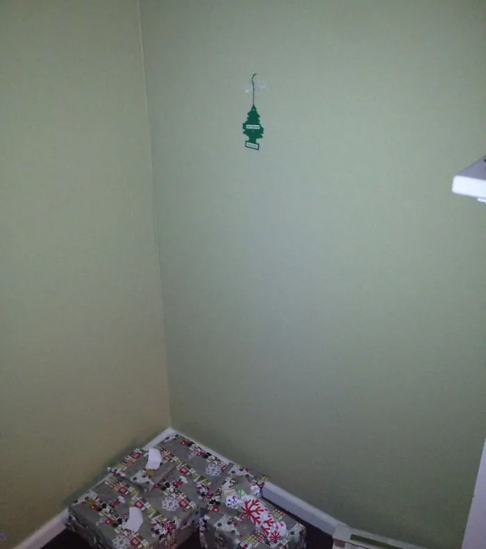 Cei mai leneși oameni din lume? Râzi în hohote când vezi cum au decorat casa pentru Crăciun
