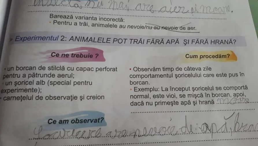EXPERIMENT MACABRU într-un auxiliar de clasa a II-a. Și inspectorii sunt șocați de cerință