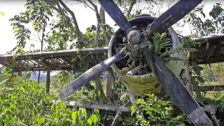 Avionul cu 98 de persoane la bord s-a prăbușit în junglă. După 9 zile, din pădure a ieșit o fată...