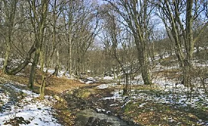 REVELION cu temperaturi de primăvară. Cât vor arăta termometrele la miezul nopţii