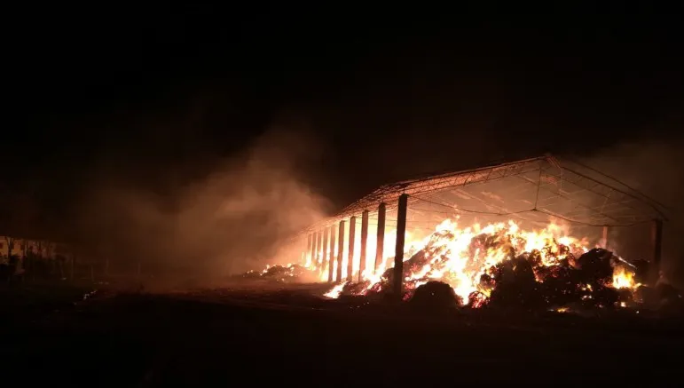 Incendiu violent la Herghelia Mangalia
