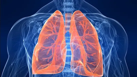 Ceaiuri care elimină nicotina din sânge și ajută după renunțarea la fumat