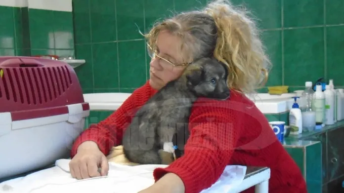 Datorie uriașă a unei românce către o clinică veterinară. Cum a ajuns în această situație 
