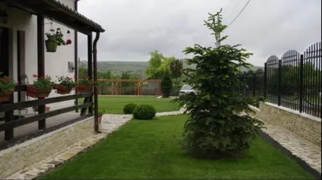 Este sau nu bine să plantezi un brad în curtea casei? Iată ce spun bătrânii