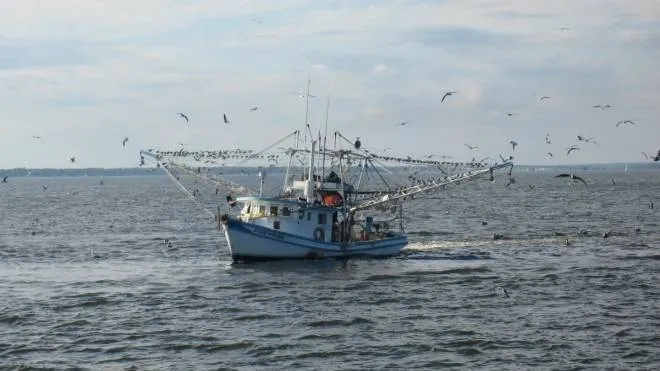 Dispariție misterioasă în Marea Japoniei. 21 de marinari se aflau la bord
