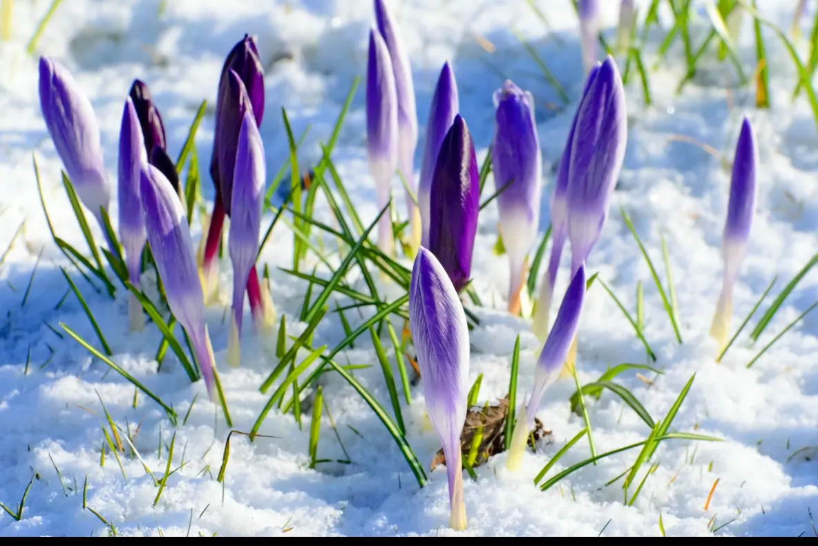 Surprize de la meteo. Cum va fi vremea în următoarele trei zile?
