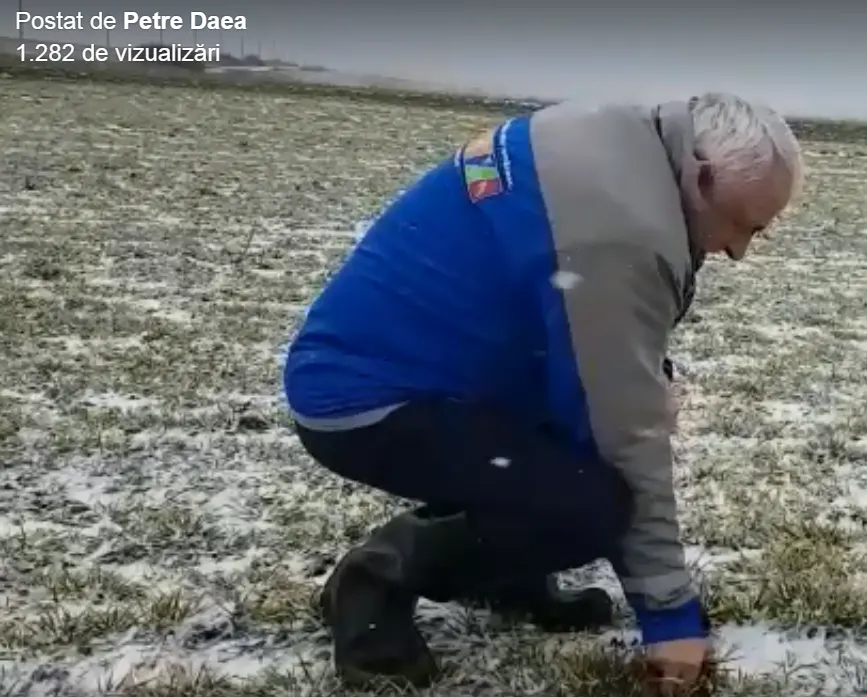 Imagini fabuloase: Petre Daea pe câmp, în plin viscol! E bine până acum! (VIDEO)