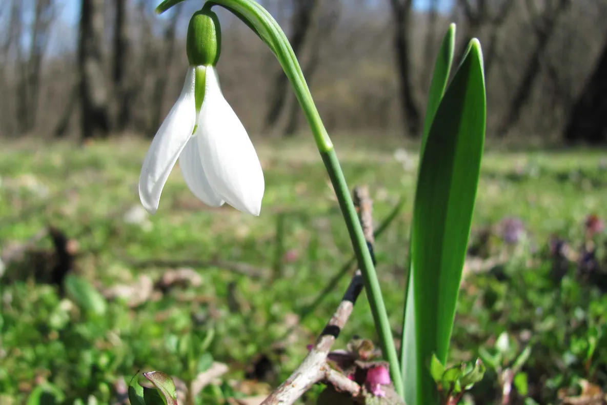 Horoscop martie 2019. Primăvara începe crunt pentru aceste 2 zodii