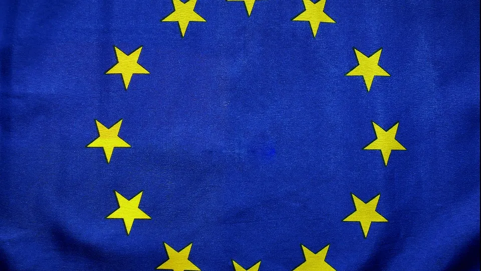 Rovana Plumb: România, în pericol să piardă zeci de milioane de euro