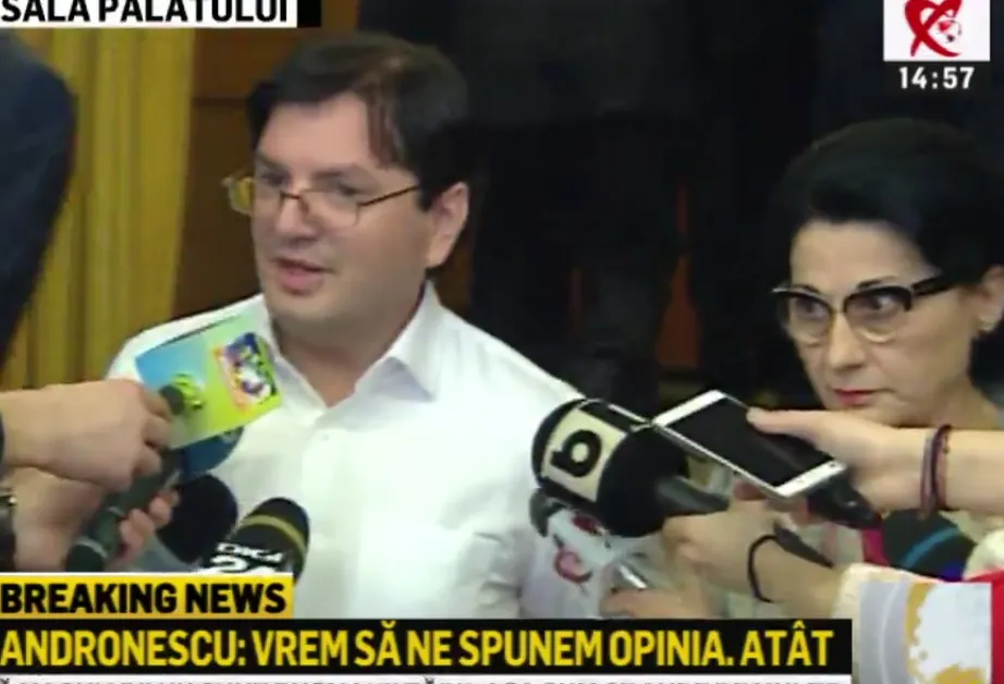 Lovitură de teatru. Bănicioiu se retrage din cursa cu Dăncilă. "Este un simulacru de congres"