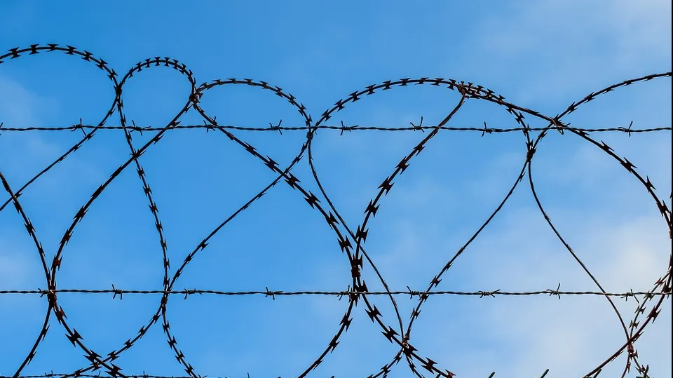 Ce premii vor primi infractorii celebri care au stat după gratii