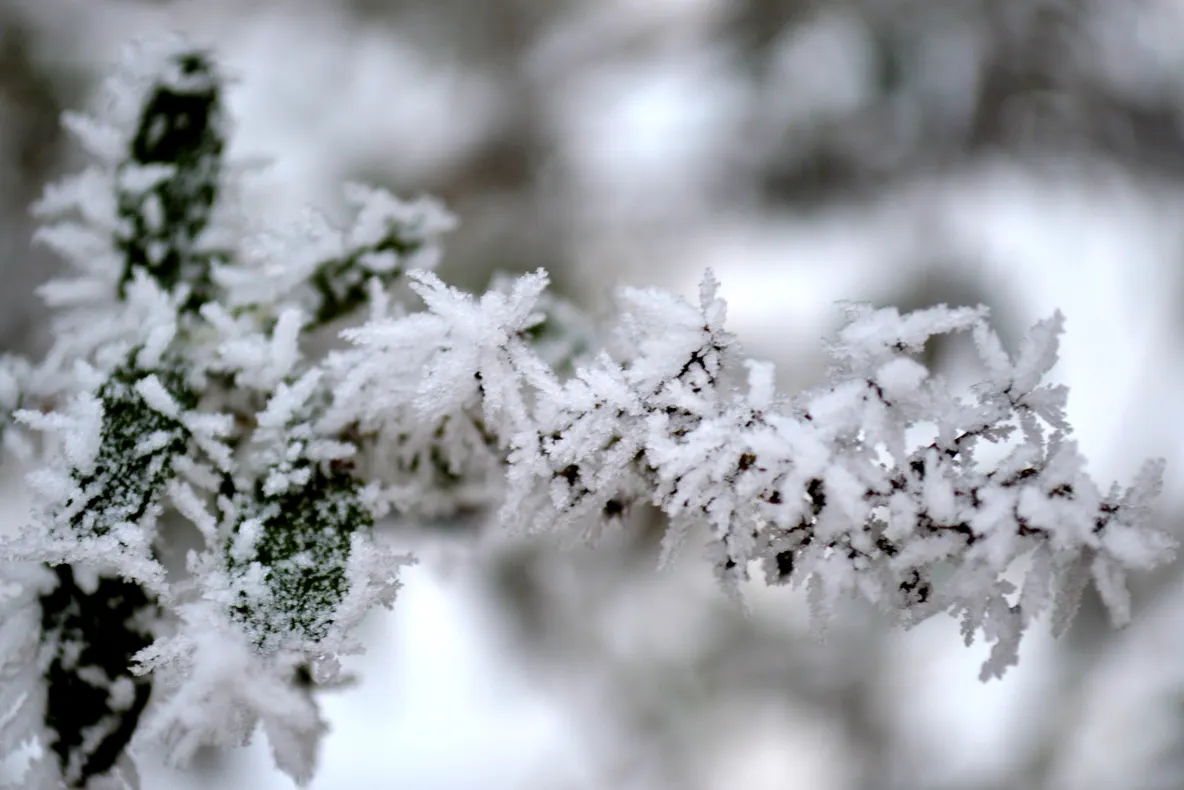 Record de temperatură înregistrat în capitală. Ce spun meteorologii