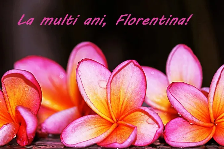 MESAJE DE FLORII. FELICITARI DE FLORII. LA MULTI ANI DE FLORII. URARI DE FLORII