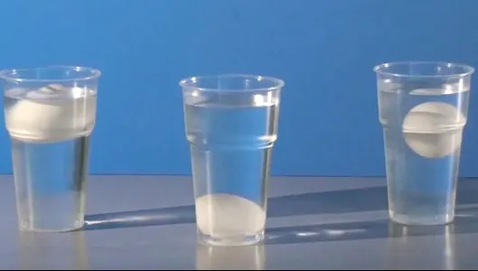 Cum îţi dai seama cât de proaspăt este un ou. Ai nevoie doar de un pahar cu apă