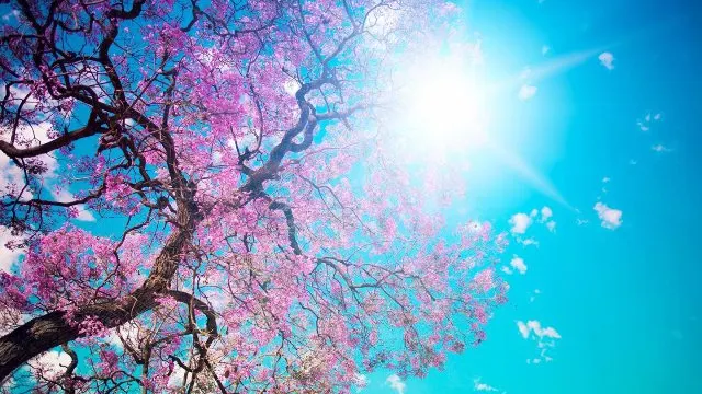 Temperaturi de până la 20 de grade în weekend. Prognoza pe trei zile