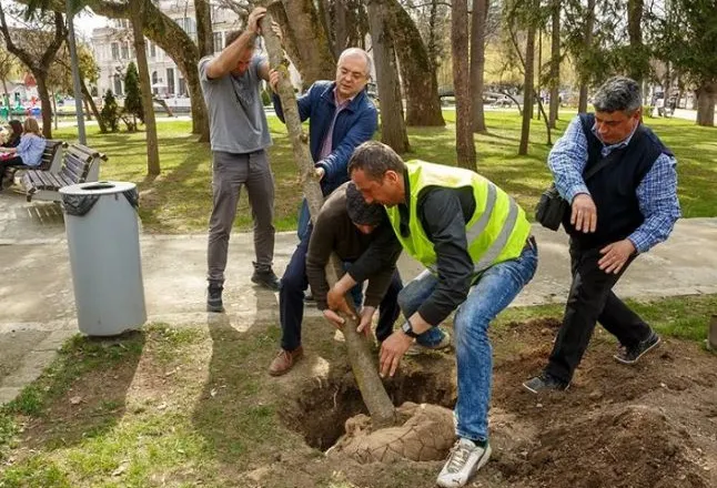 Lecții pentru București. Primarul Emil Boc, la plantat de copaci în ”smart Cluj-Napoca”