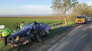 Două persoane, dintre care un minor, au fost rănite după ce au intrat în copac cu mașina furată