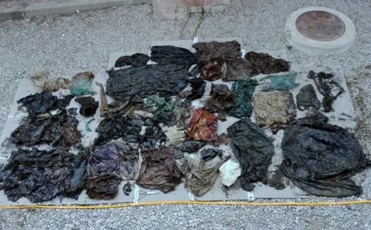 Descoperire terifiantă în burta unui caşalot găsit mort pe o plajă din Spania
