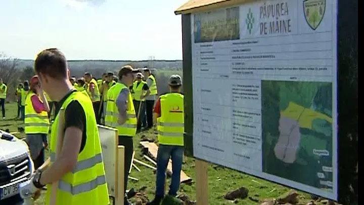 România, mai bogată în păduri. 200 de voluntari au plantat copaci în judeţul Braşov