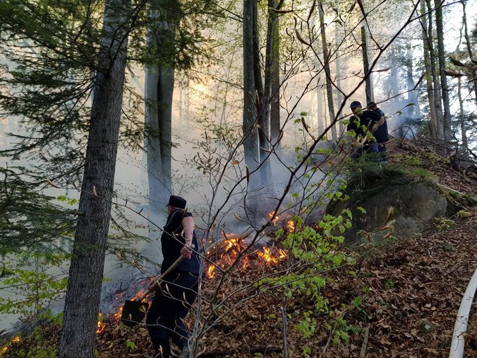 Incendiu violent într-o pădure din Bacău! 175 de oameni intervin - pericol de EXPLOZIE 