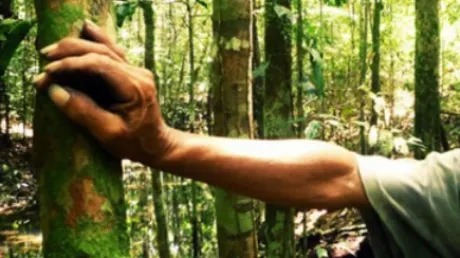 Descoperire incredibilă într-o pădure din Prahova. A mers să caute comori, dar a dat peste asta