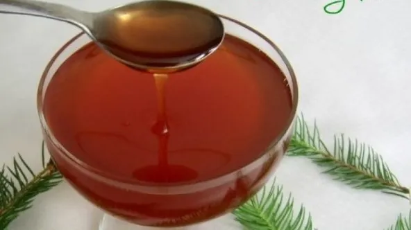 Miere cu muguri de brad, un elixir cu puteri excepţionale