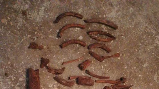 Misterul oaselor găsite în baie: sunt foarte vechi, este nevoie de expertiză antropologică