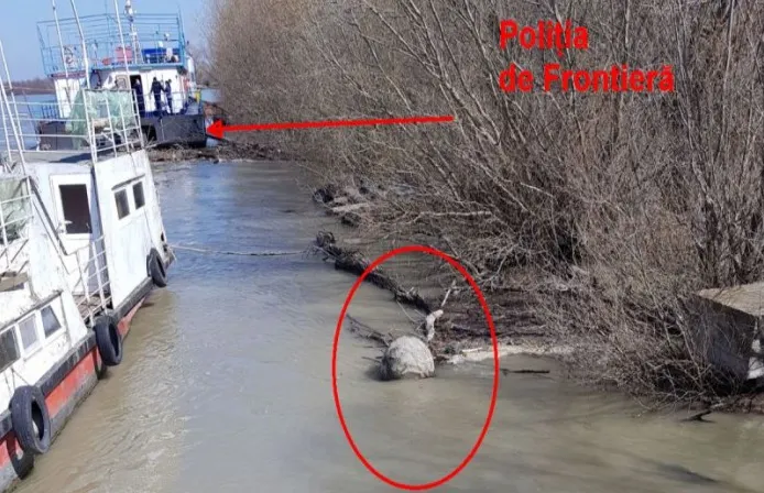 O mină de război germană a ratat „la mustață” vapoarele lui Vîntu și al Poliției de Frontieră