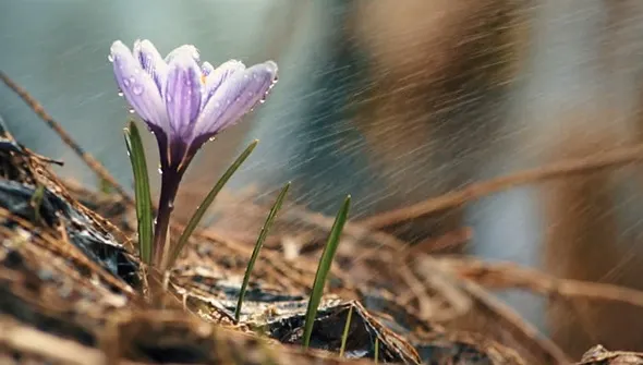 Vremea, de la o extremă la alta. Prognoza meteo pe două săptămâni