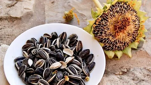 Pericolele consumului de seminţe sărate. Avertismentul nutriţioniştilor