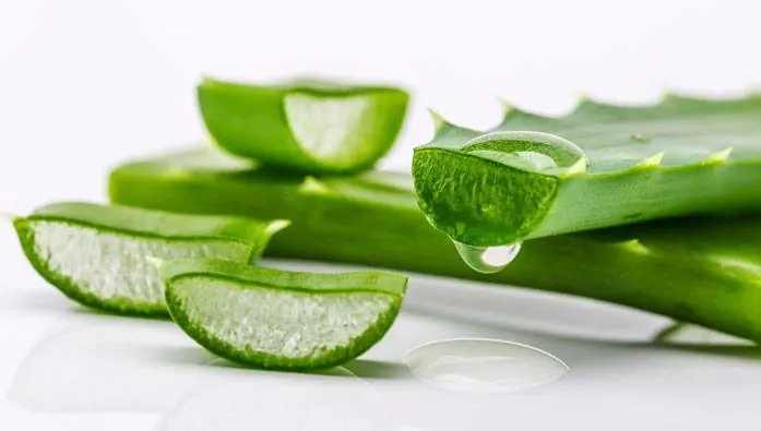 De ce este aloe vera planta imortalității. Cum prepari masca de aloe vera pentru ten și păr