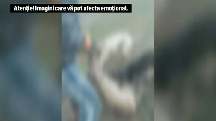 Braconierul sadic care a ucis o căprioară a fost identificat