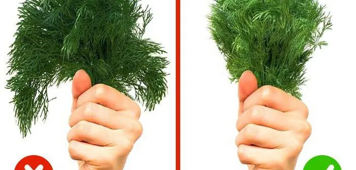 Verdeţuri vechi şi pline de pesticide, în pieţe. Cum le recunoşti imediat