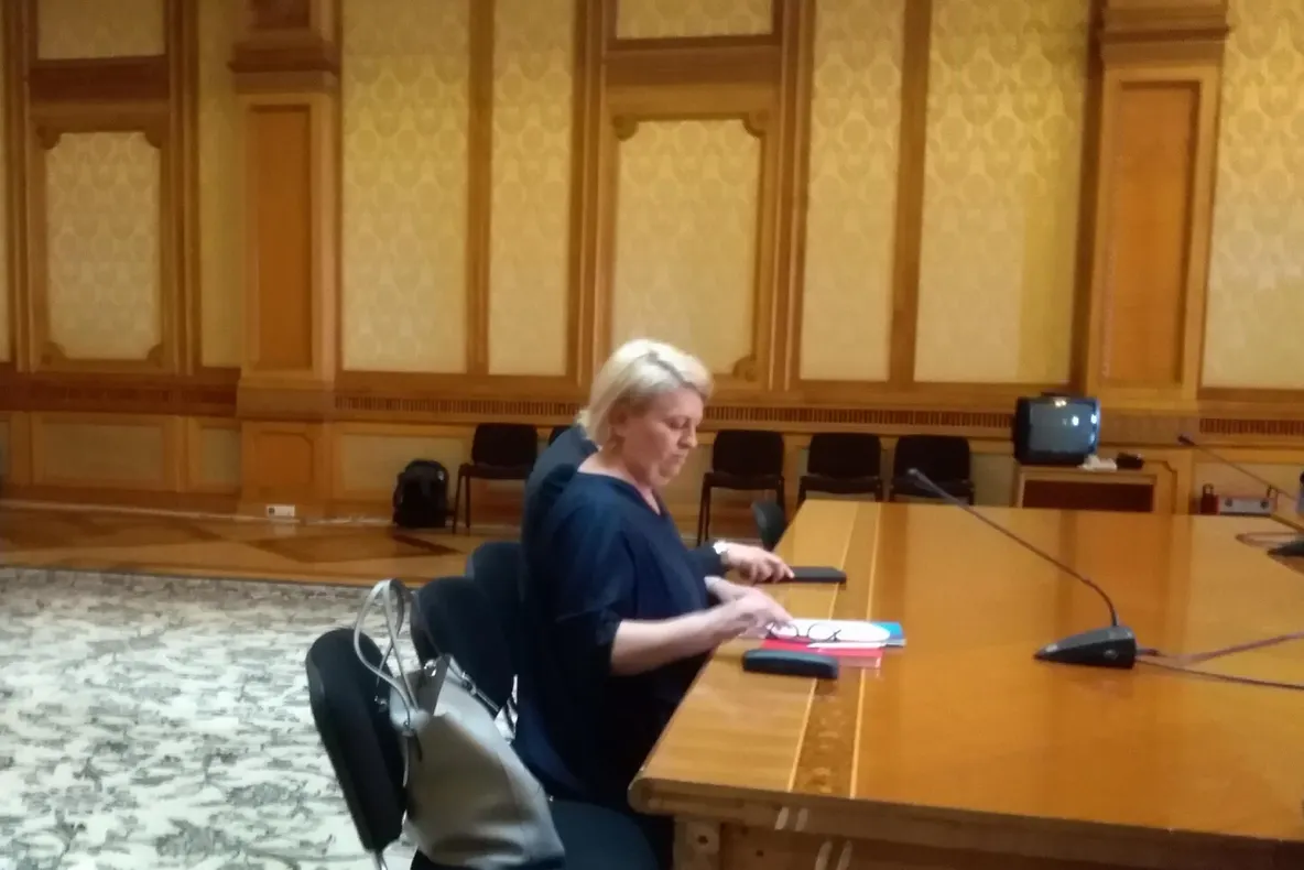 Doina Gradea, audiată fără întrebări: ”M-am simțit șantajată, amenințată de domnul Pătraru”