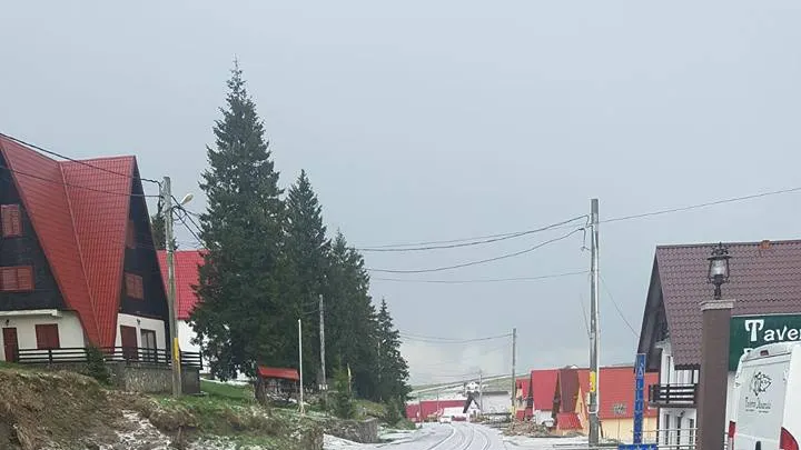 Ninge în România! Imagini incredibile (VIDEO)