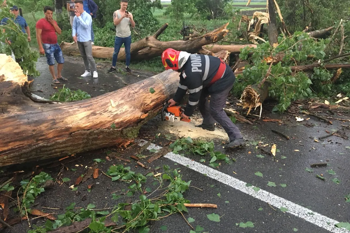 Copac căzut peste o mașină aflată în trafic, în Harghita - Două persoane au fost rănite