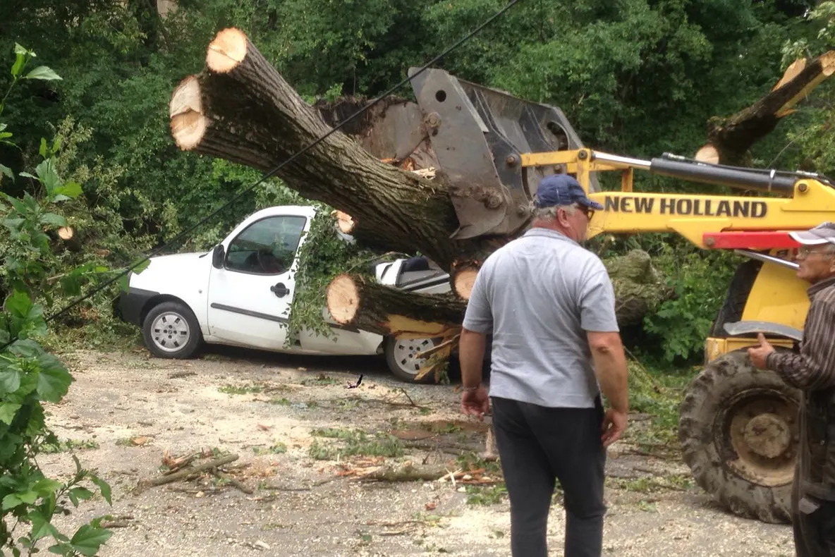 Un copac a căzut peste un autoturism și o casă. Patru persoane rănite