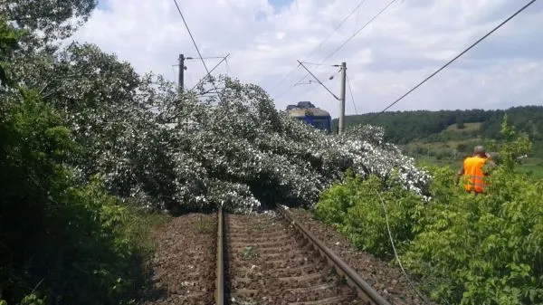 Traficul feroviar afectat din cauza furtunilor. Unde sunt probleme cu circulaţia trenurilor