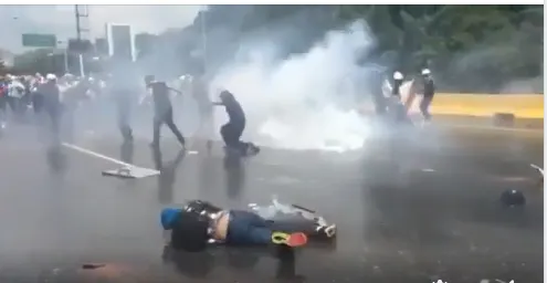 Lia Olguţa Vasilescu, mesaj către protestatari: în alte ţări sunt tunuri cu apă