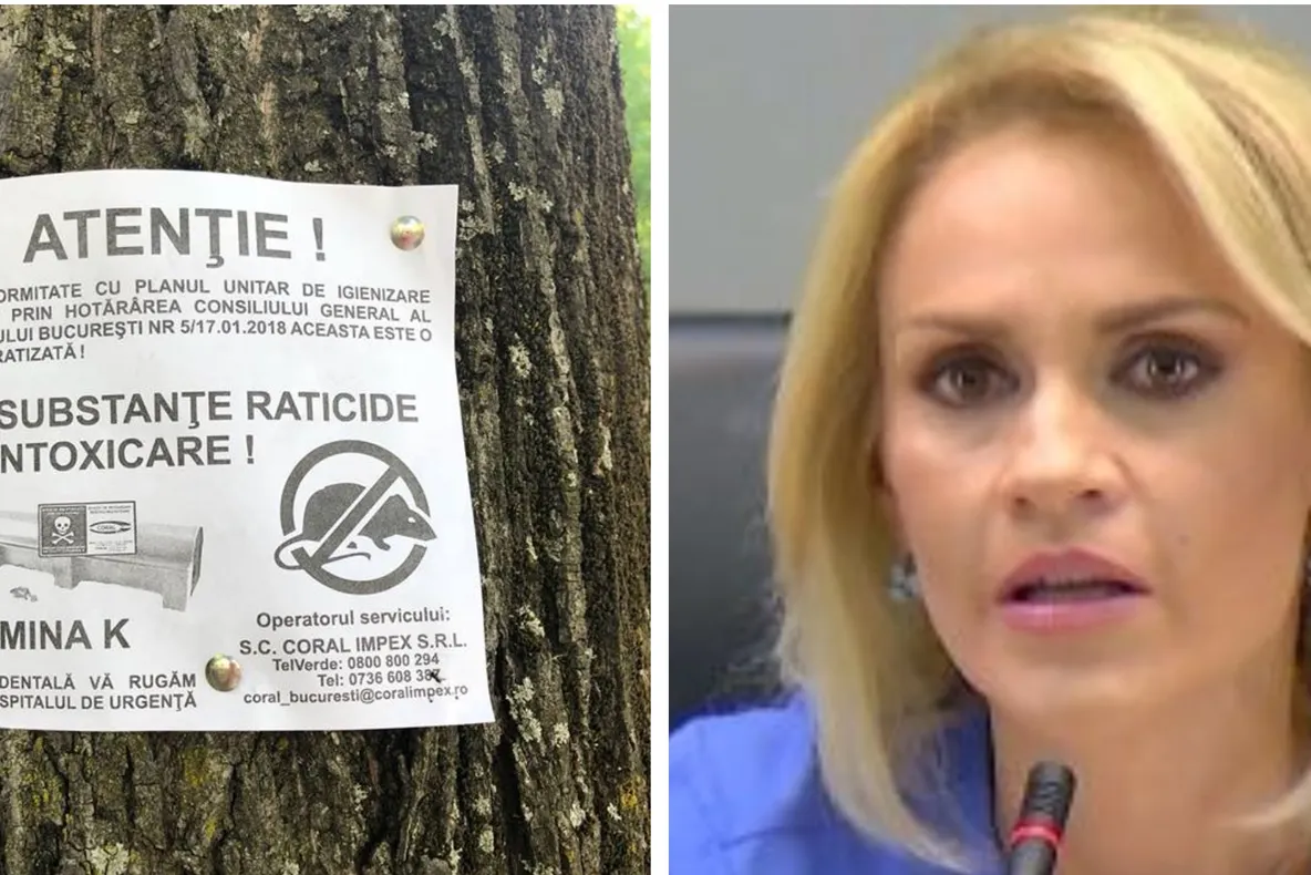 Otravă aruncată în parcuri din Capitală, Gabriela Firea caută vinovaţii